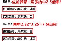 2025年新澳门和香港正版一肖一特一码一中，全面释义、解释与落实