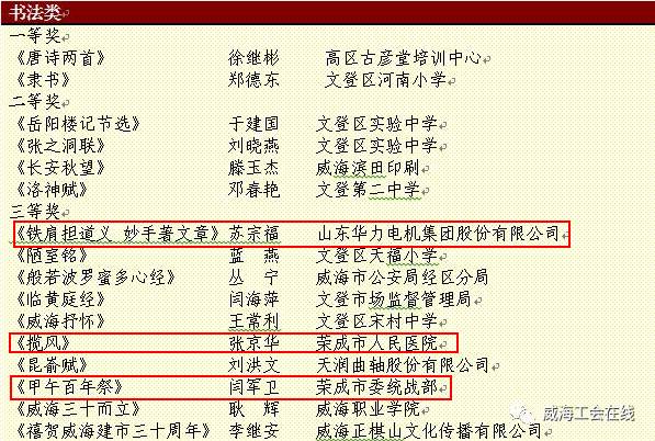 新澳准确内部中奖资料大全旅游团，最佳精选解释与落实