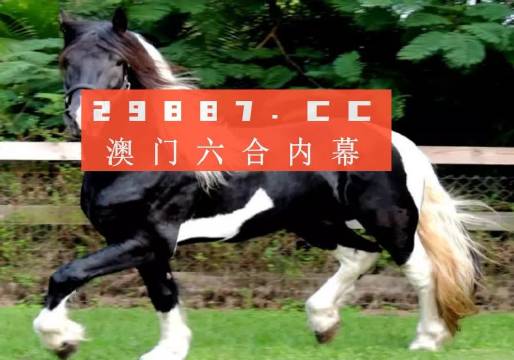 澳门和香港三期必开一肖一特一中是公开合法-最佳精选解释落实