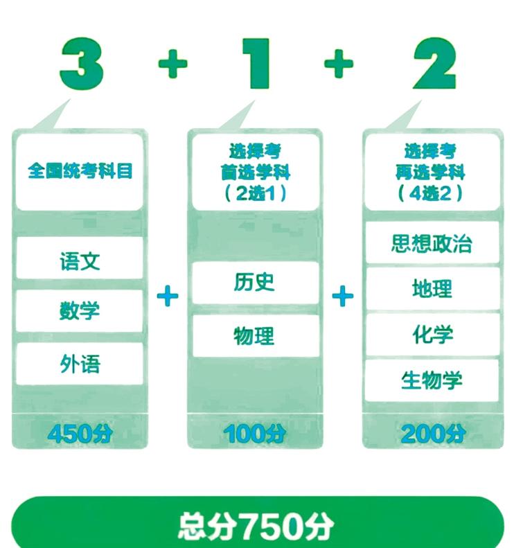 2025全年正版资料免费资料大全公开-精选解析解释落实