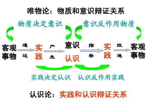 新奥精准资料免费大全，词语释义、解释落实与实际应用