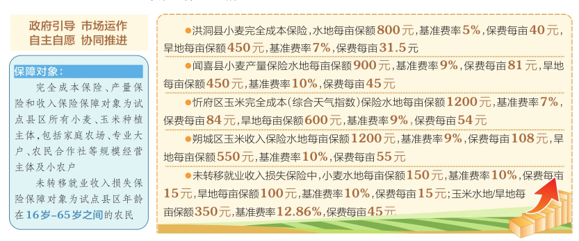 2025全年全年资料免费资料大全一肖一特-词语释义解释落实