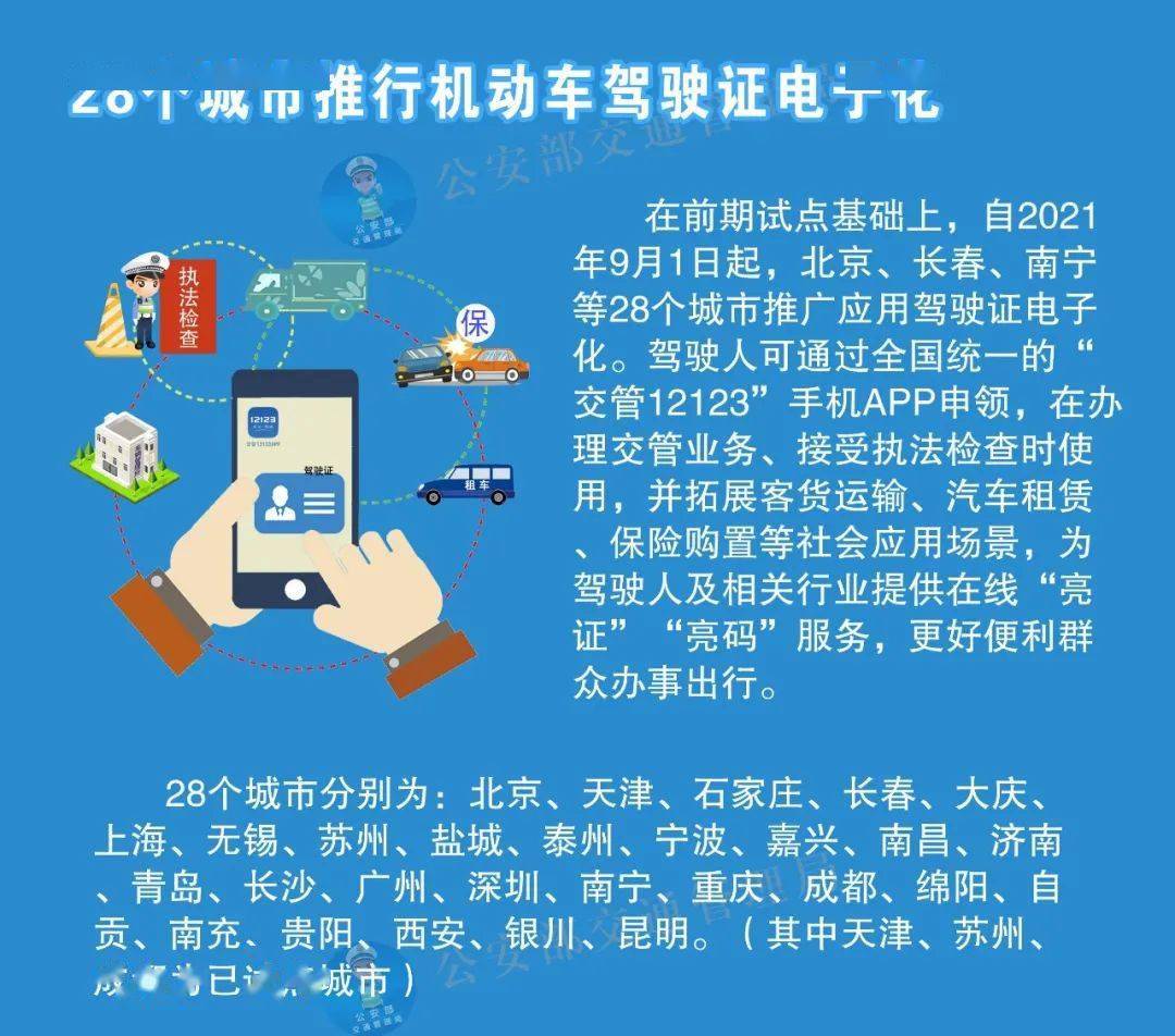 2025全年全年资料免费资料大全功能，最佳精选解释与落实