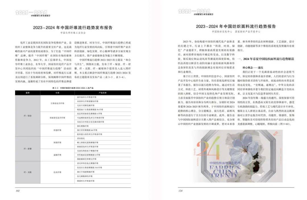 2025年正版资料免费大全中特，词语释义、解释与落实