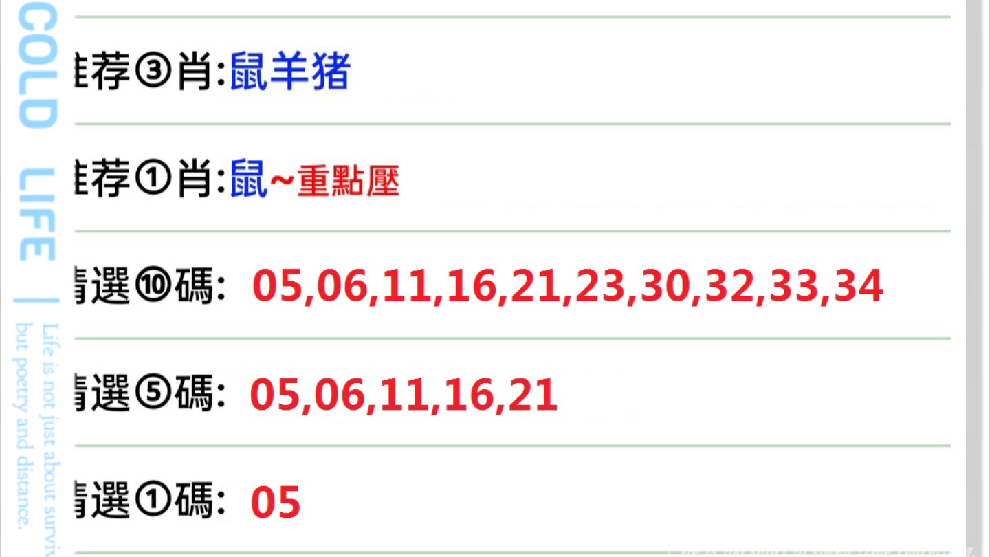 澳门与香港今晚上必开一肖，全面释义解释落实