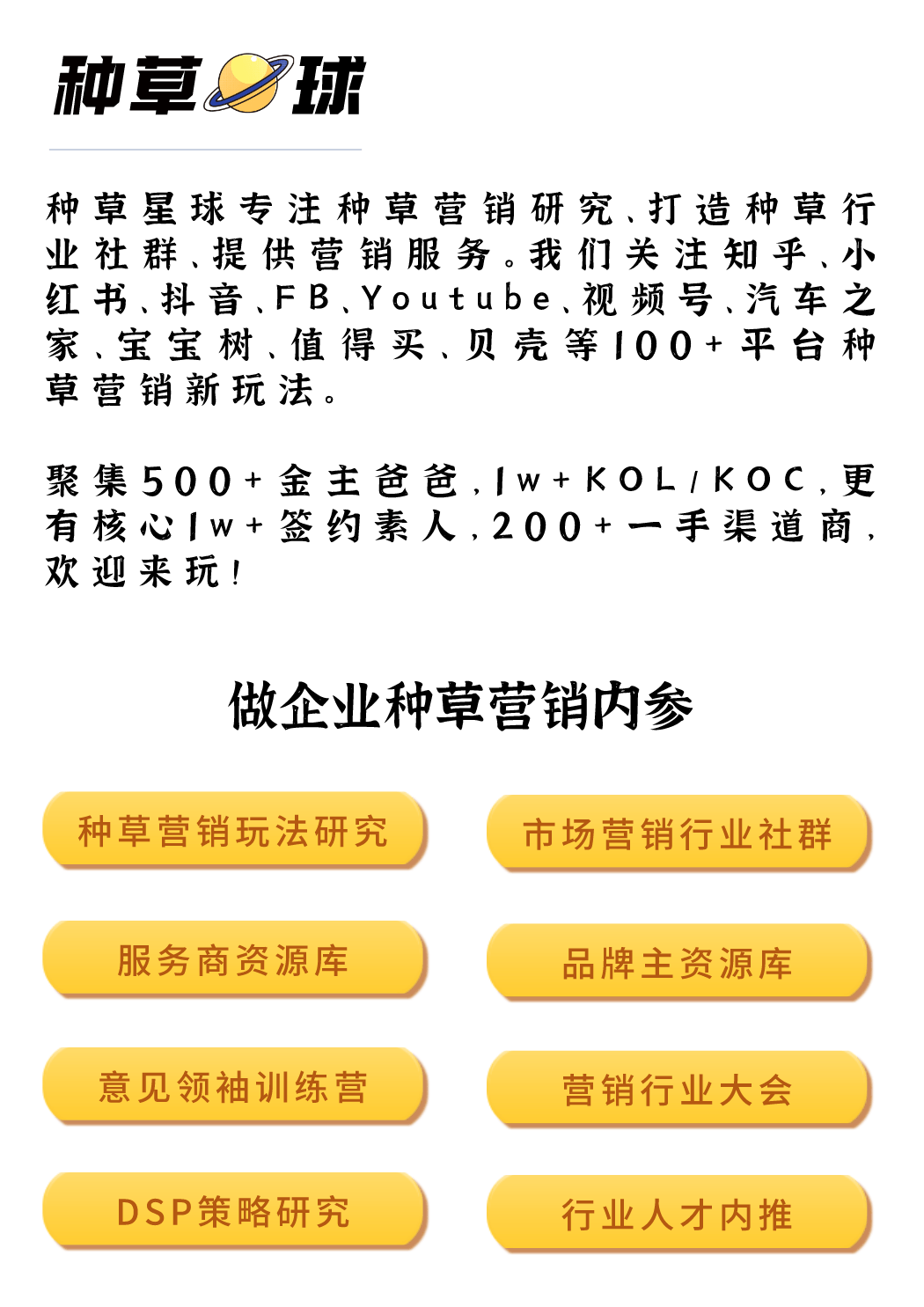 新澳全年资料免费资料大全，最佳精选解释与落实