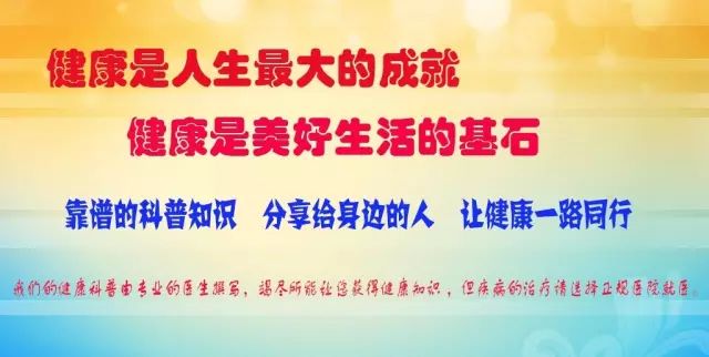 新澳2025正版资料大全，词语释义、解释与落实