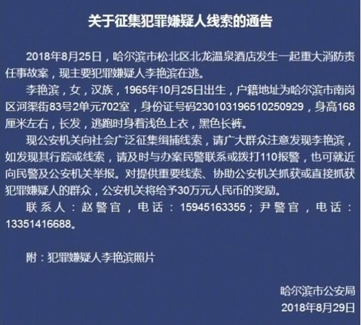 2025年新澳门天天免费精准大全，全面释义与落实