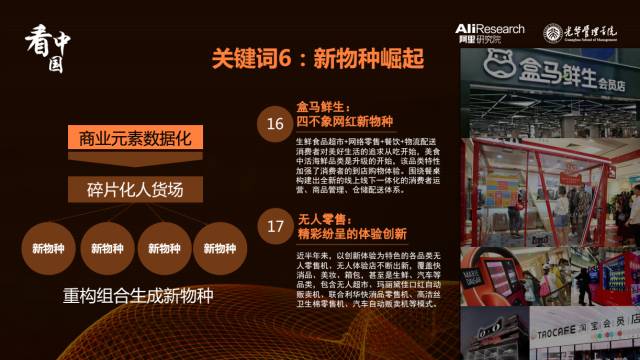 2025年全年澳门香港今晚开奖号码精选解析，探索数字背后的奥秘