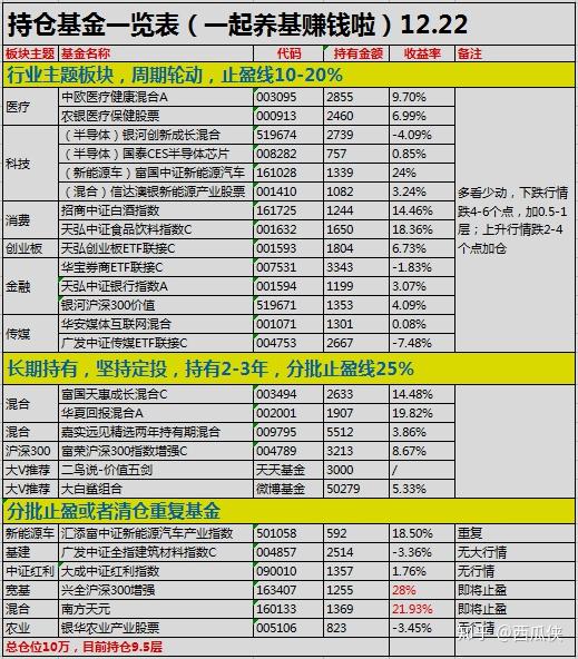 新澳门开奖结果2025开奖记录查询表，精选解析、解释与落实