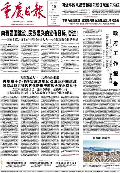 2025年新澳最精准正最精准大全，词语释义与落实策略