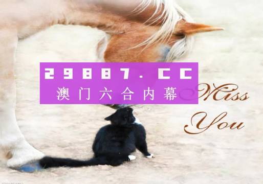 新澳门4949最新开奖记录，全面释义、解释与落实