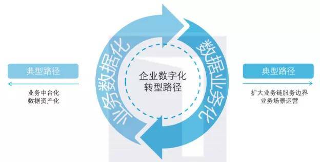 特马澳门精选解析，深度解析与落实策略