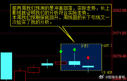 管家波一肖一码一中特，实用释义与落实策略