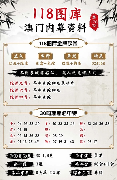 今晚澳门9点35分开什么？精选解析与落实策略