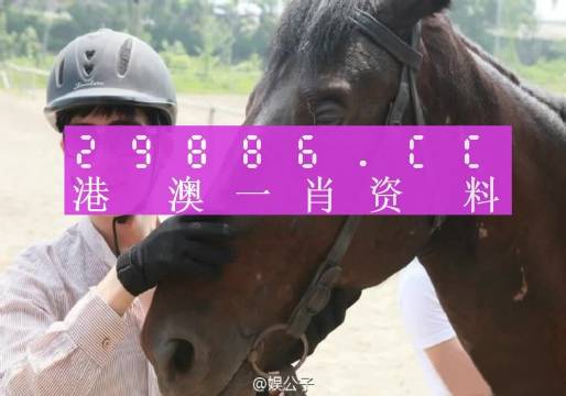 澳门一肖一码必中舟山，实用释义、解释与落实