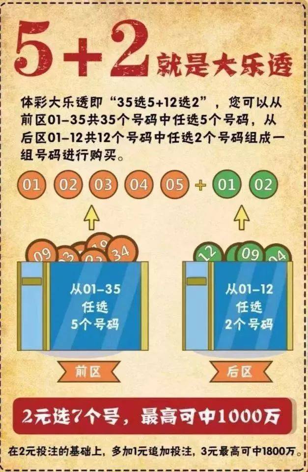 偷大双中特最佳答案精选解析解释落实