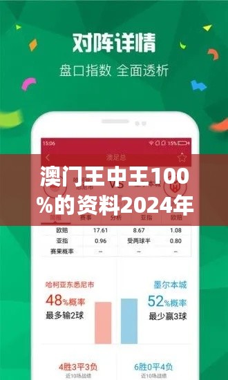 2025新澳门王中王100%期期中，全面释义、解释与落实