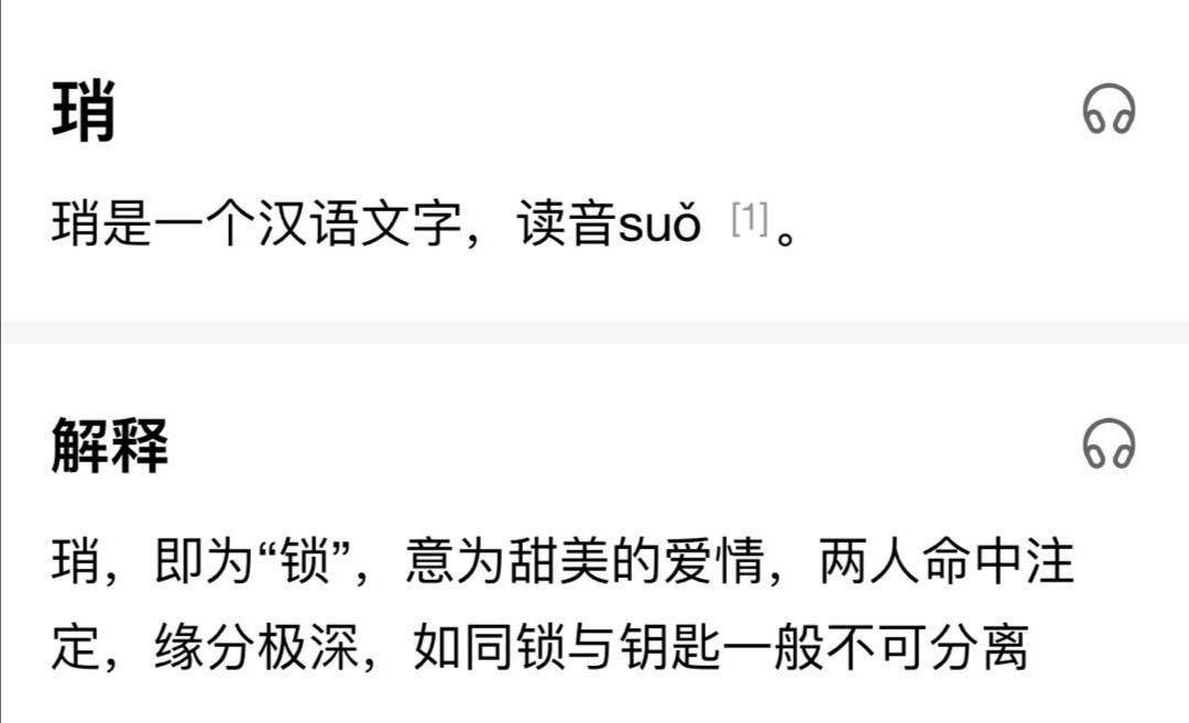 最准一码一肖100%凤凰网，实用释义、解释与落实