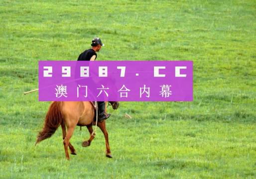 4949cc澳彩正版资料，全面释义、解释与落实