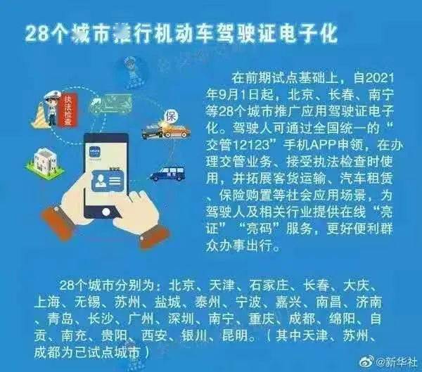 新奥管家婆资料2025年85期精选解析，深度解析与落实策略