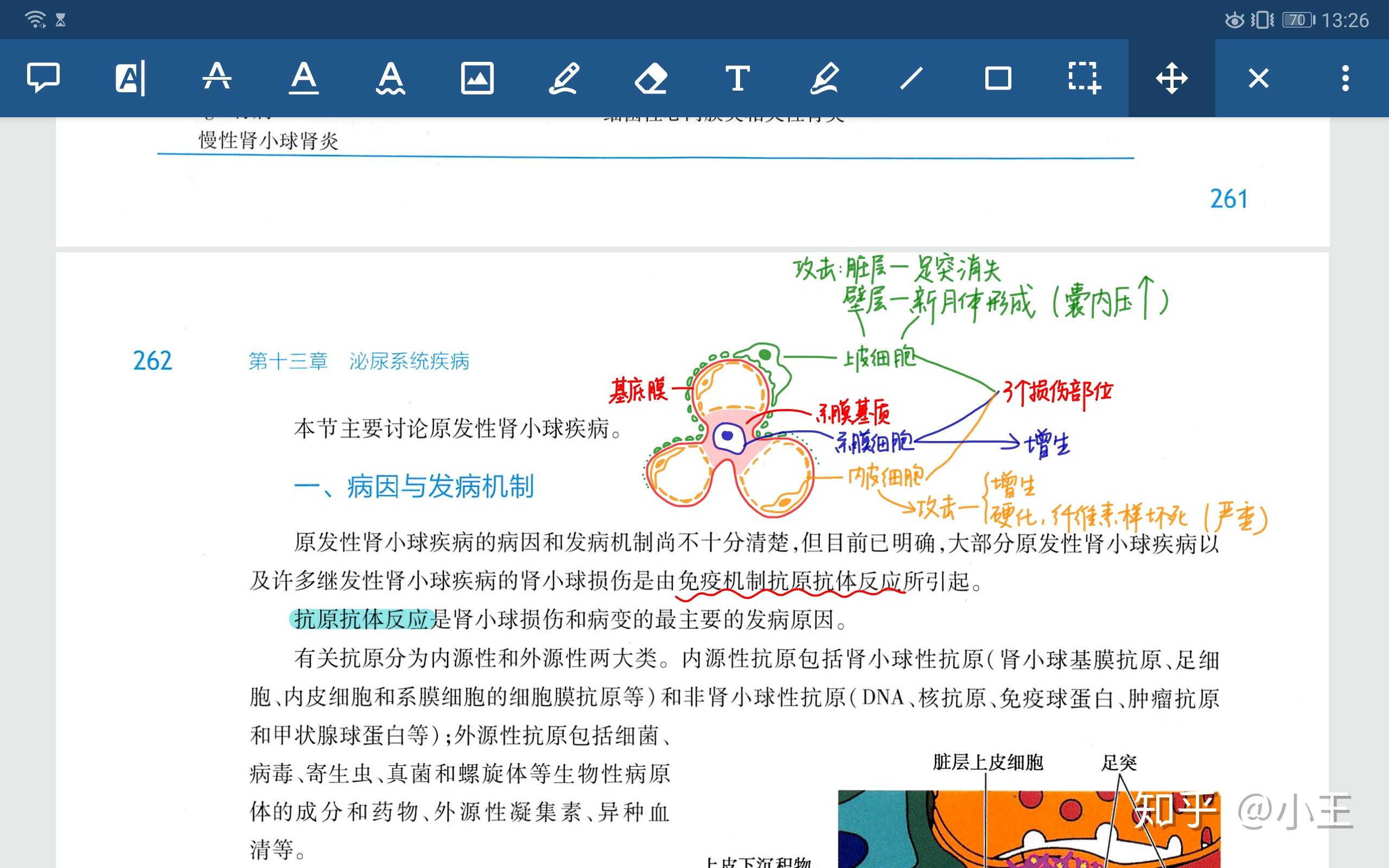 7777788888新版跑狗图解析，精选解析与落实策略