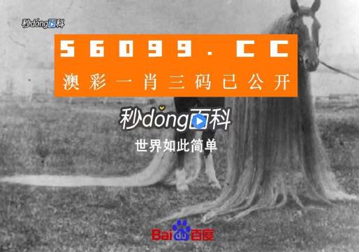 大三巴一肖一码精准1肖精选解析解释落实