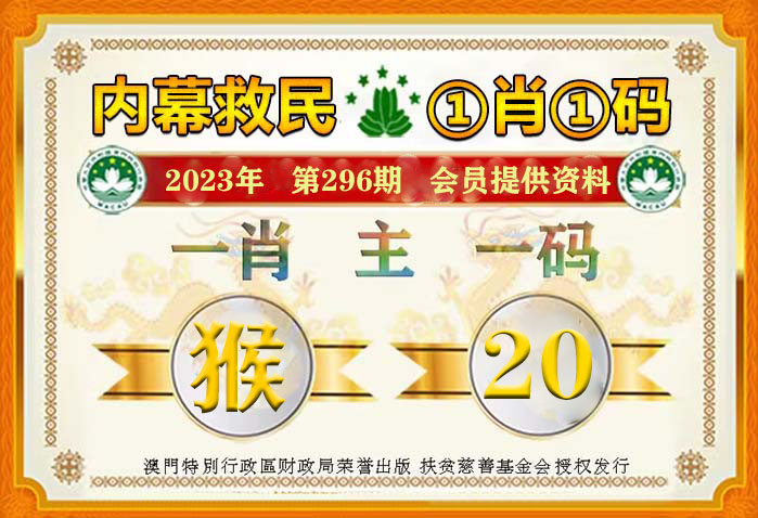 新澳门一码一码100准确，最佳精选全面释义解释落实