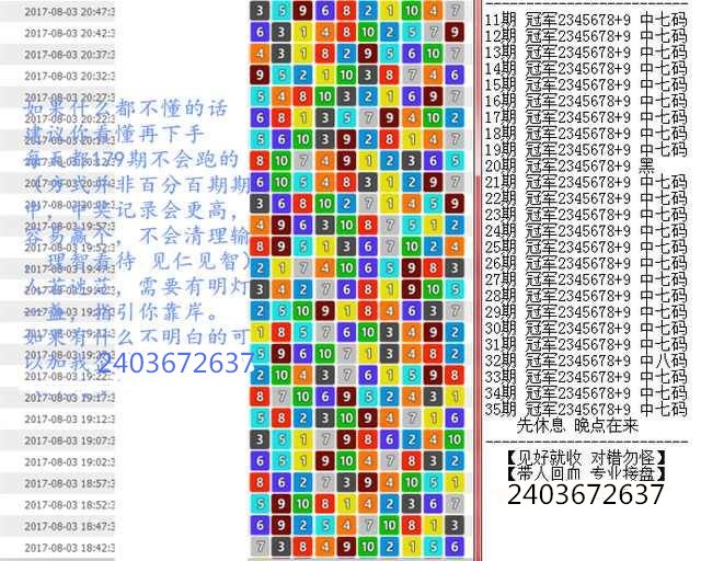 澳门王中王100%准确软件介绍，全面释义与落实策略